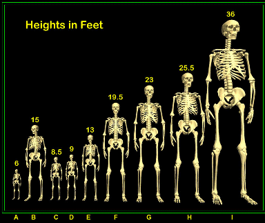 Giants Chart